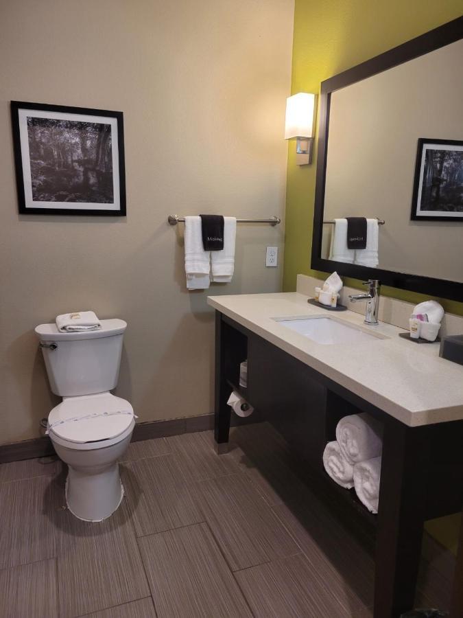 La Quinta By Wyndham - Area Tyler