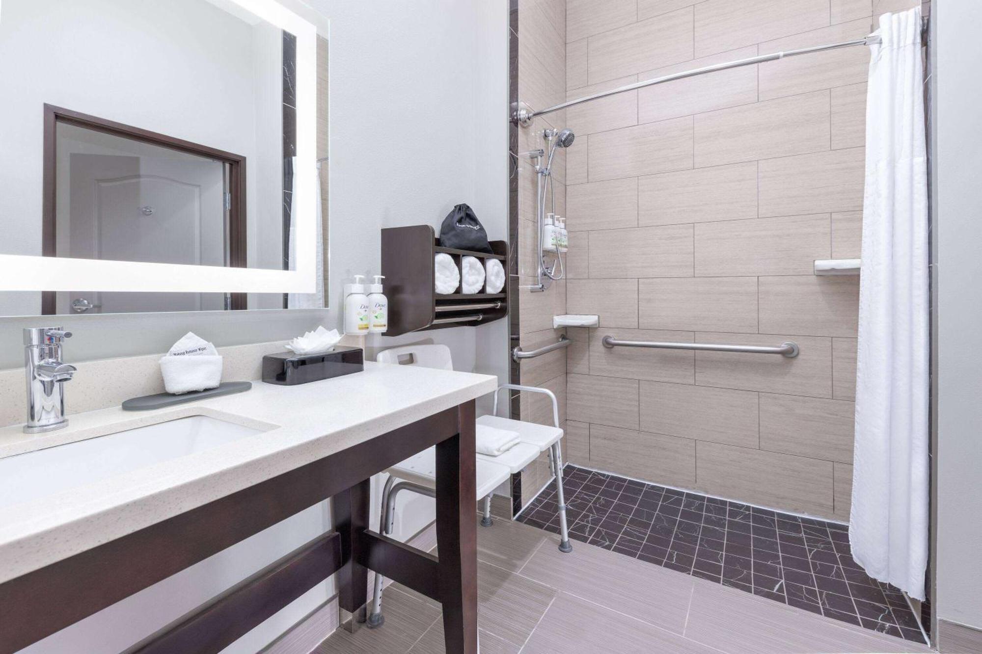 Hotel La Quinta By Wyndham - Area