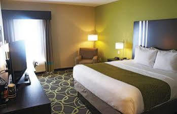 Hotel La Quinta By Wyndham - Area Tyler