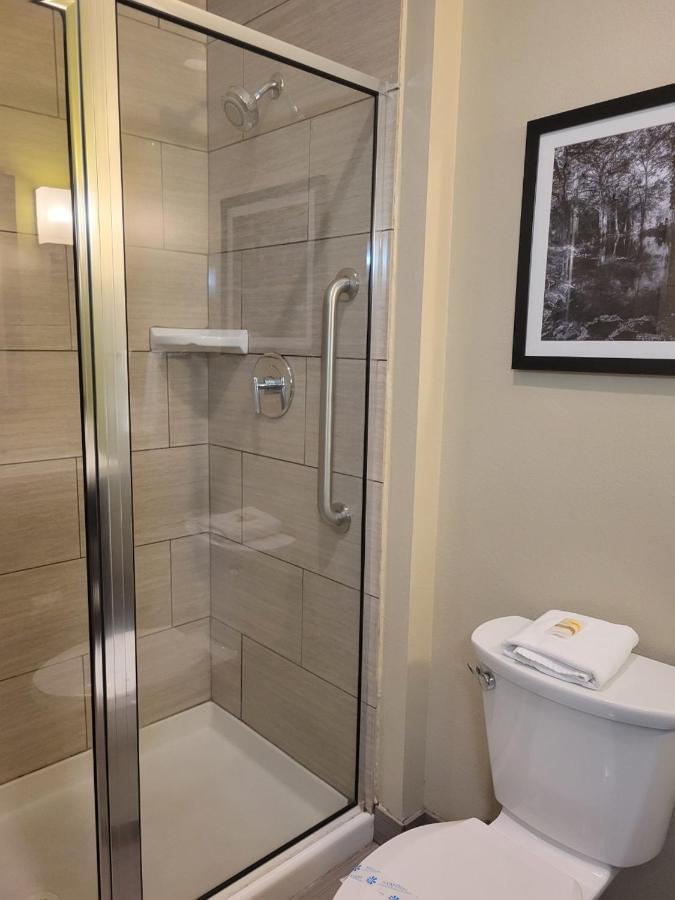 Hotel La Quinta By Wyndham - Area
